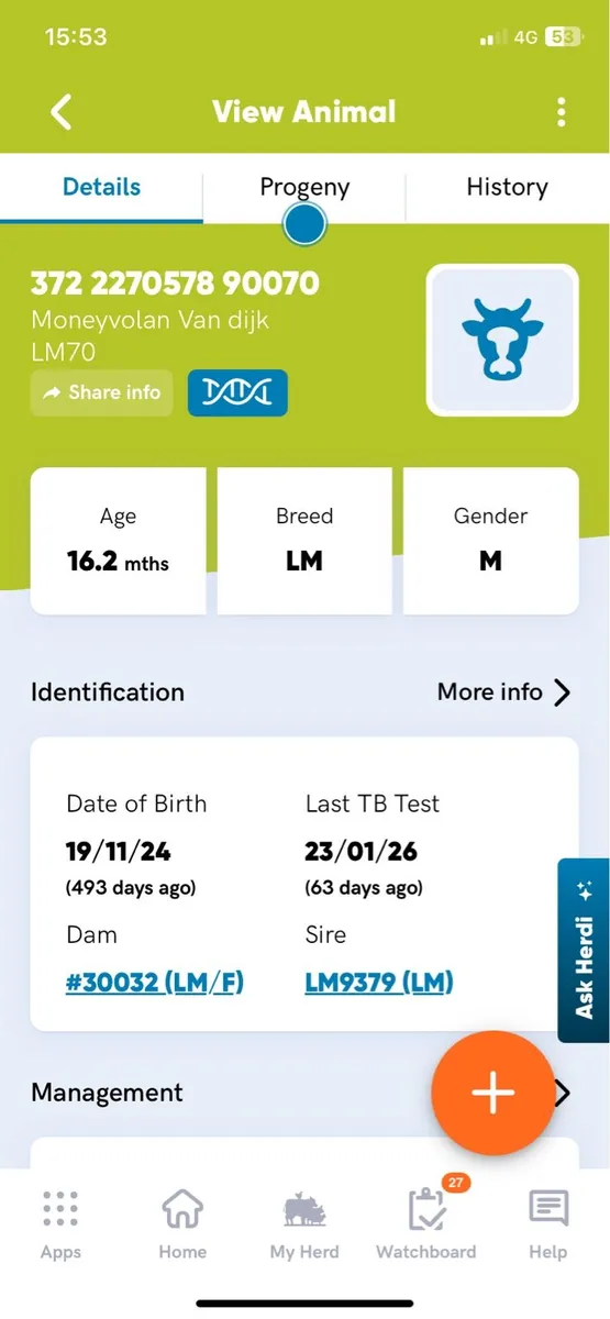 5 star limousine bulls - Image 4