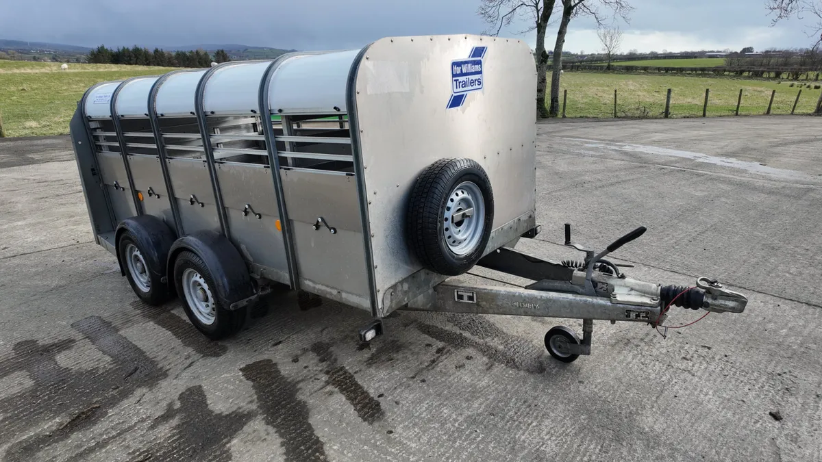 2020 Ifor Williams 10' ( TA5G ) - Image 3