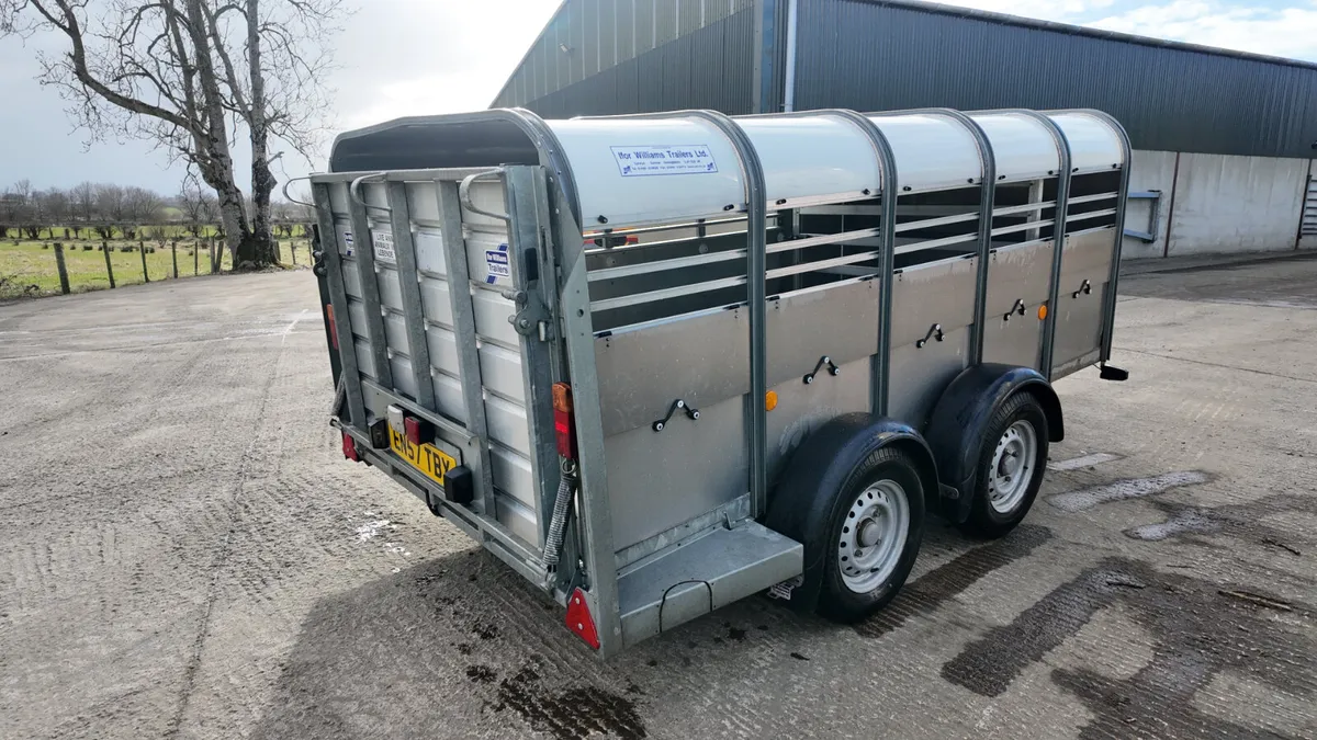 2020 Ifor Williams 10' ( TA5G ) - Image 4