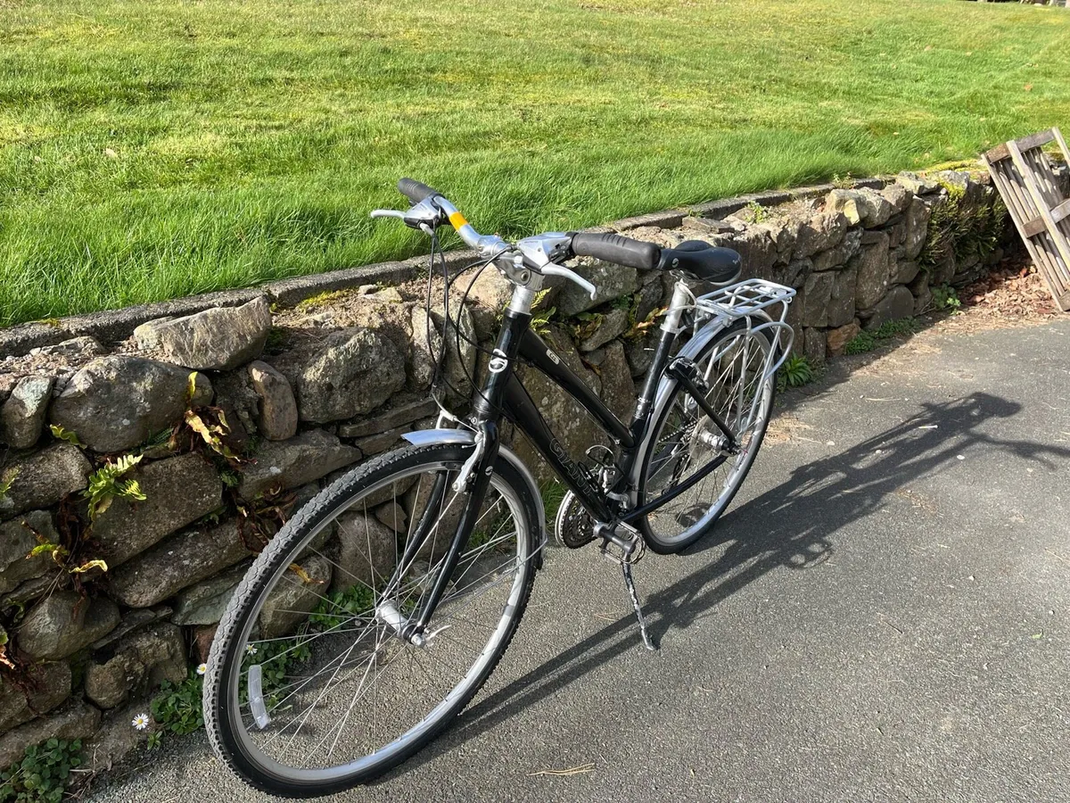 Bike giant - Image 1