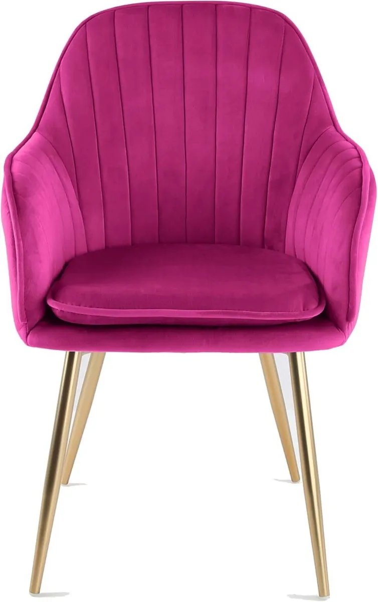 Muse Velvet Fabric Tub Chair With Golden Chrome - Image 3