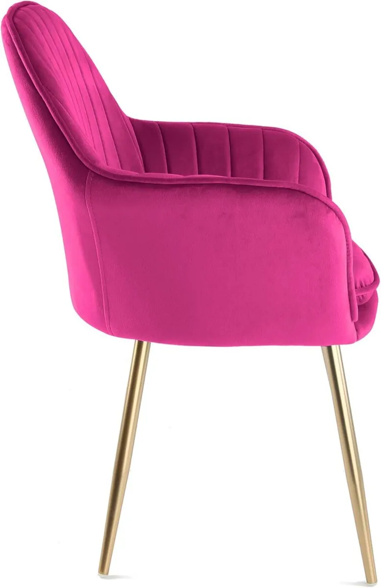 Muse Velvet Fabric Tub Chair With Golden Chrome - Image 4