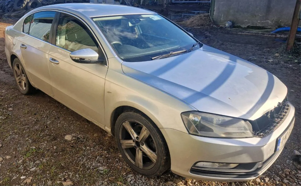 B7 Passat 2.0 Tdi Breaking - Image 1