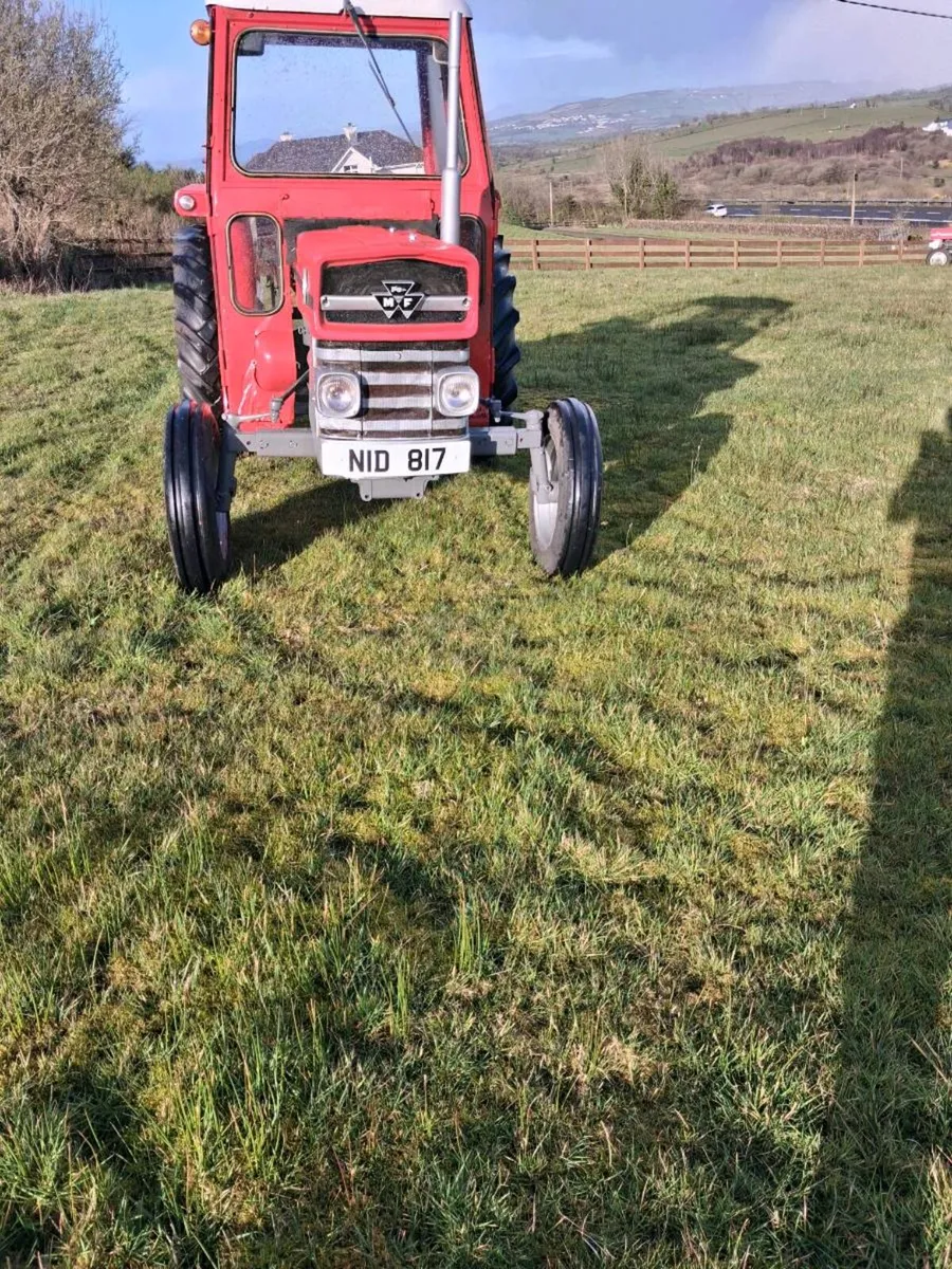 Massey ferguson 135 - Image 3