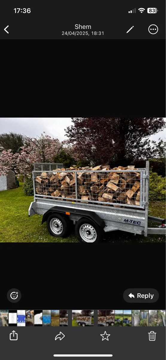 Firewood - Image 1