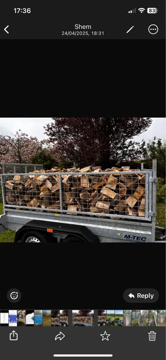 Firewood - Image 3