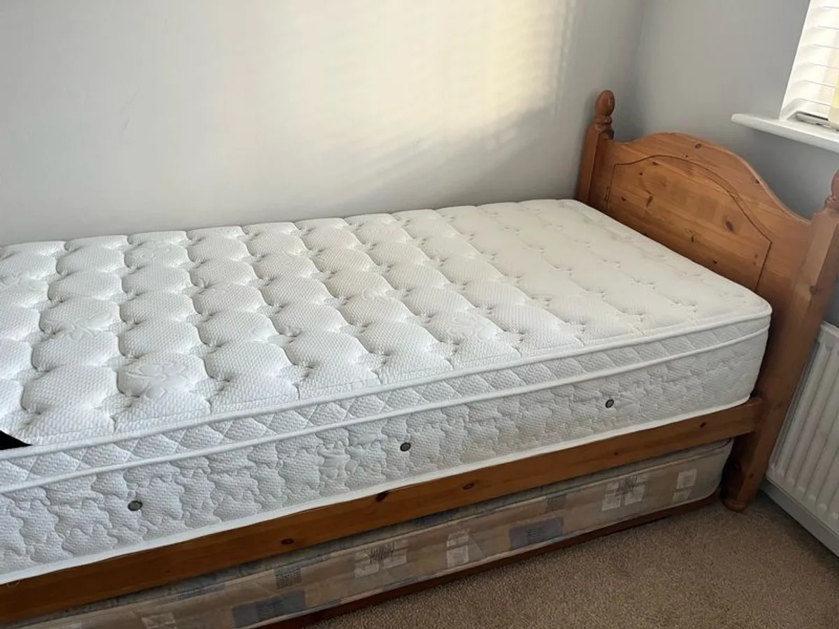 single bed with pull out guest bed - Image 2