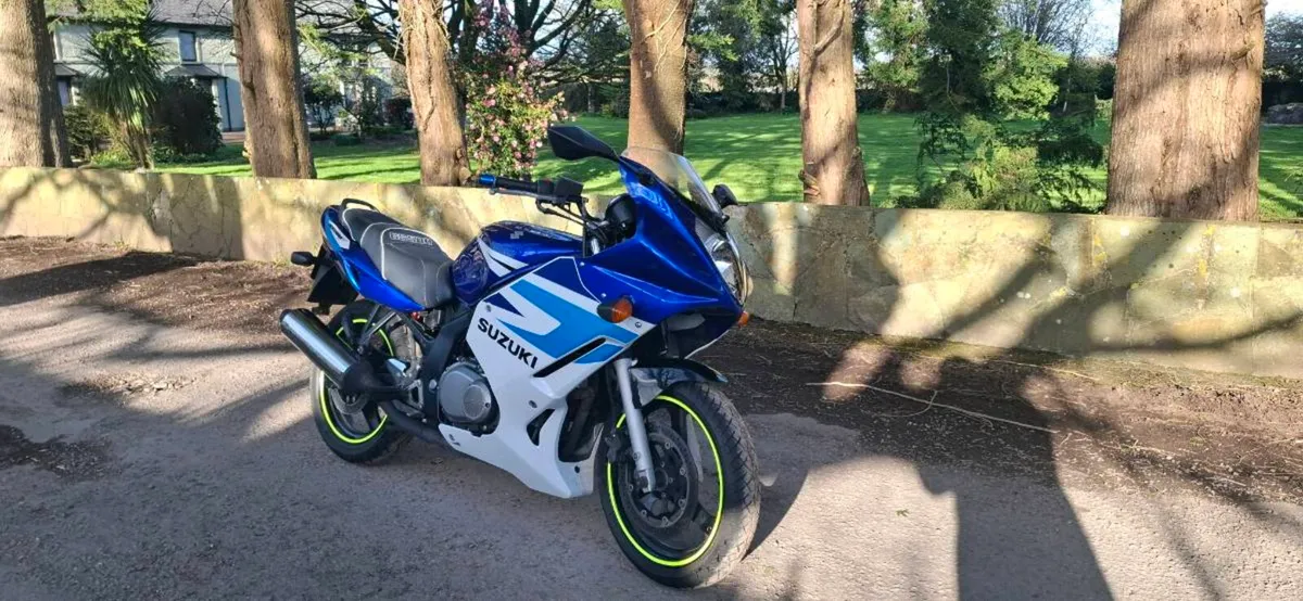Suzuki GS 500 F low mileage 15k km - Image 4