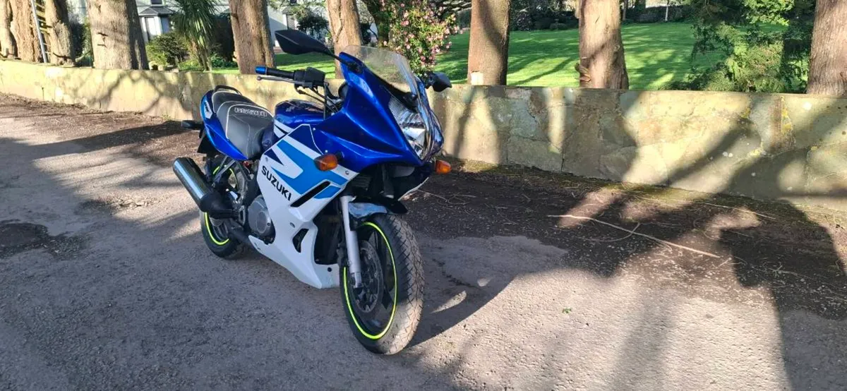 Suzuki GS 500 F low mileage 15k km - Image 1