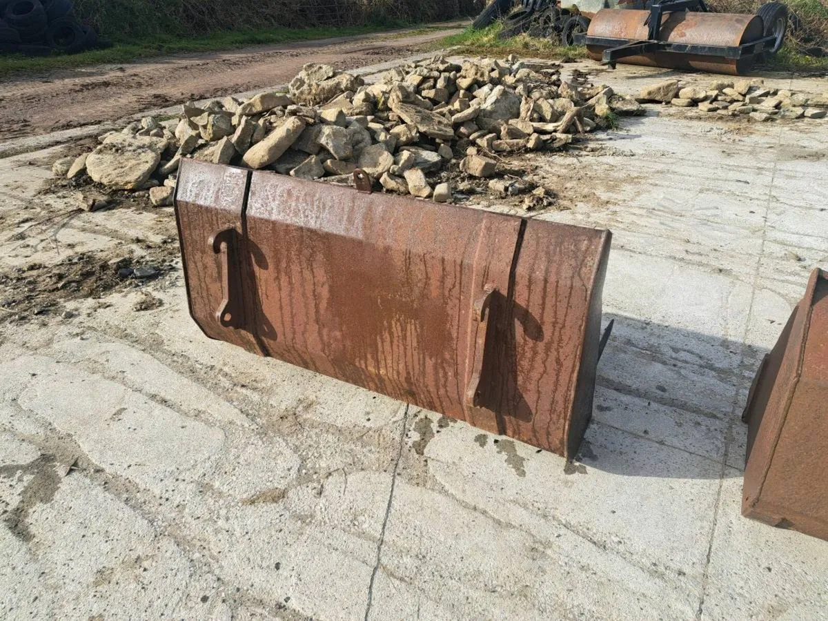 Rossmore Bucket  & Dung Fork - Image 3