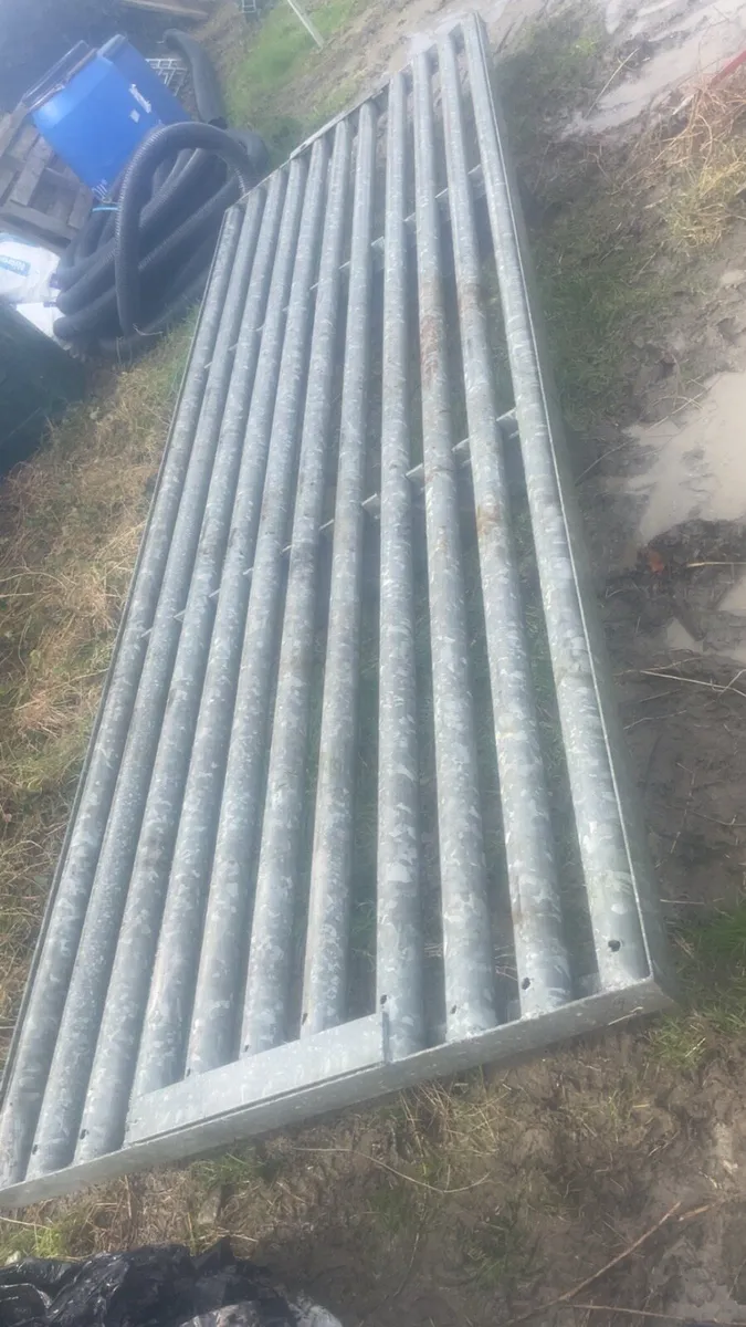 Cattle grid - Image 2