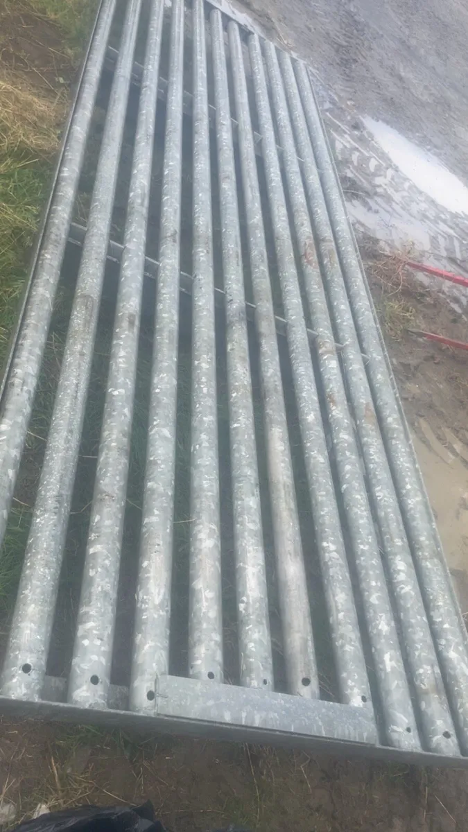 Cattle grid - Image 3