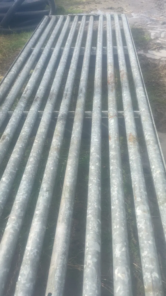 Cattle grid - Image 1