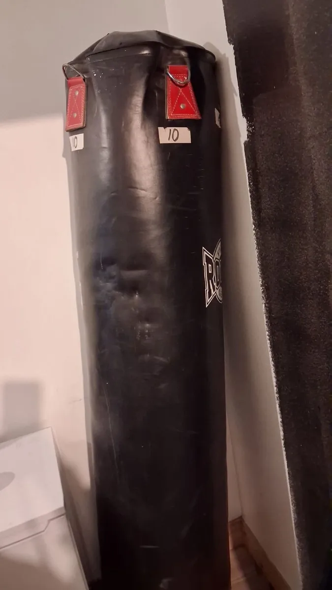 Boxing bags ,gloves and pads - Image 1