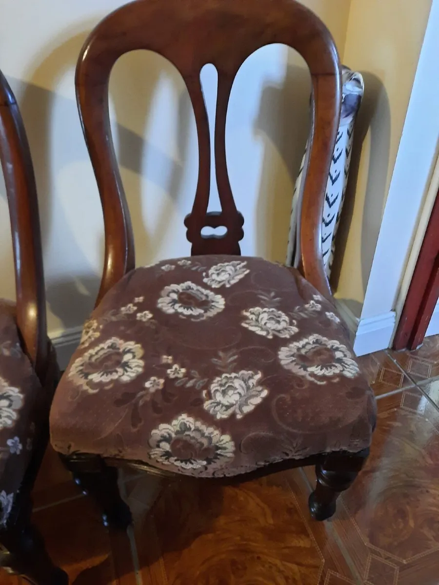 Pair of antique parlour chairs - Image 3