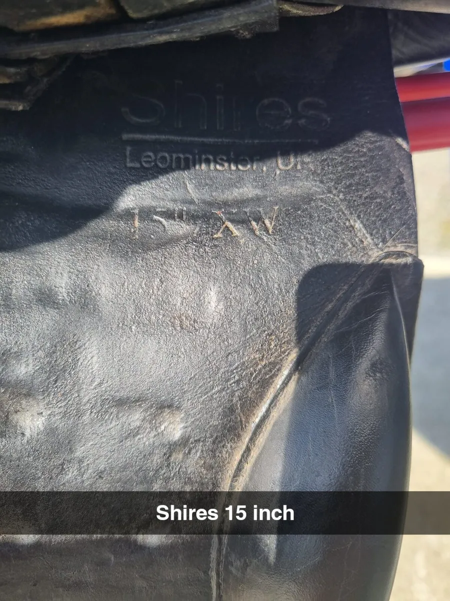 2 15 inch jumping saddles - Image 4