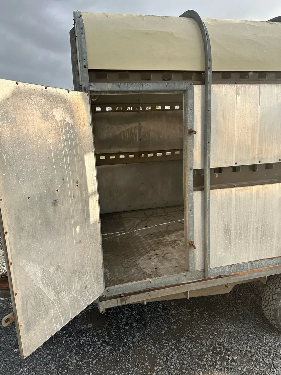 Cattle trailer - Image 4