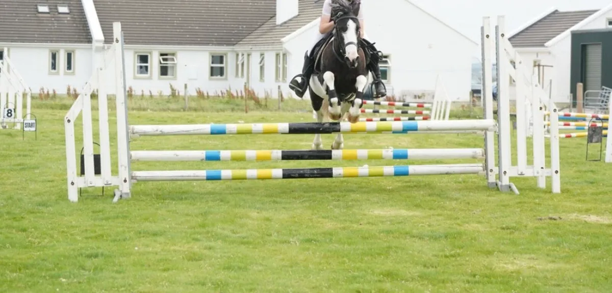 Serious 128 pony - Image 3