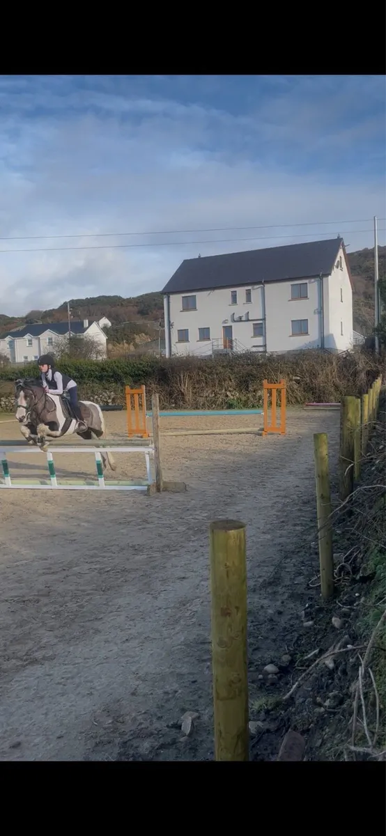 Serious 128 pony - Image 1