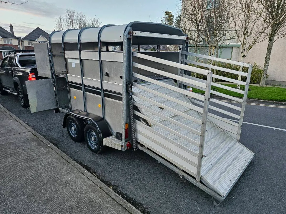 Iverwilliams trailer - Image 1