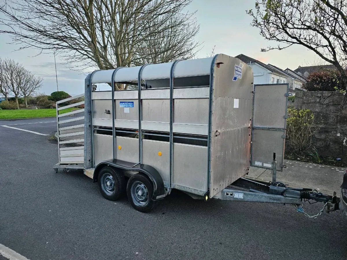 Iverwilliams trailer - Image 3