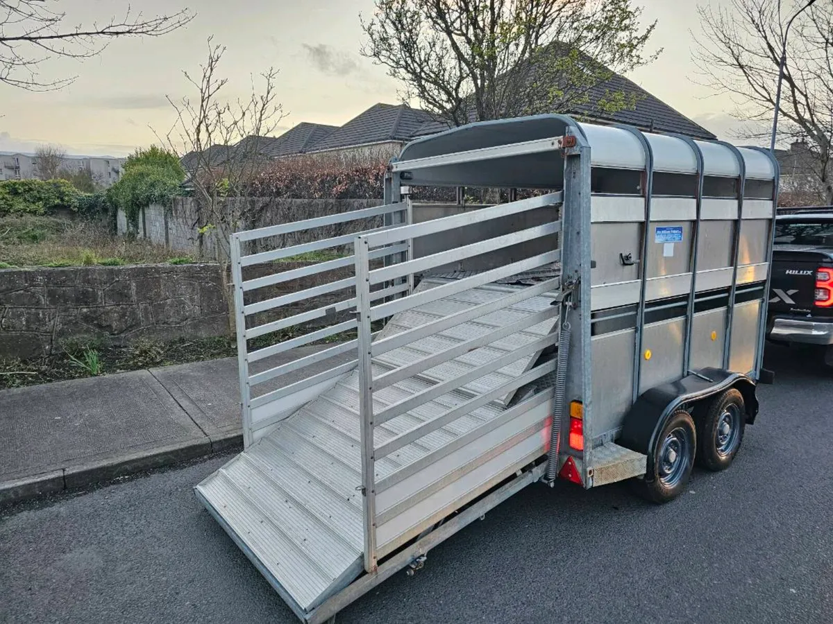 Iverwilliams trailer - Image 4