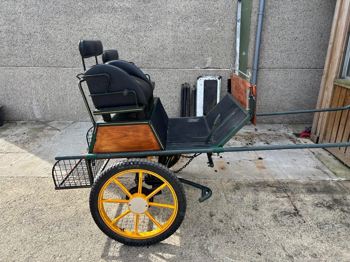 Road cart - Image 4