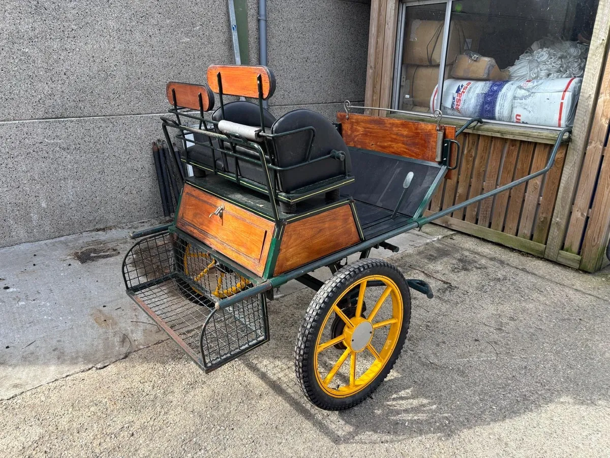 Road cart - Image 3