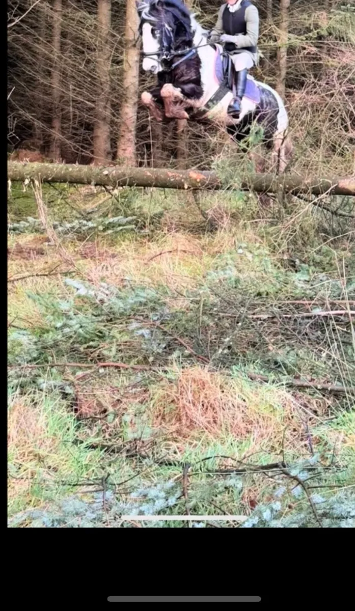 Serious 128 pony - Image 2