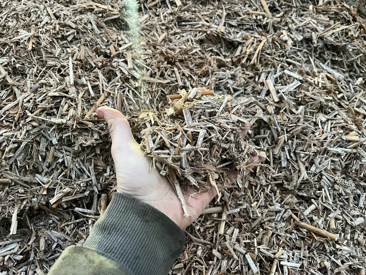 Miscanthus bedding - Image 2