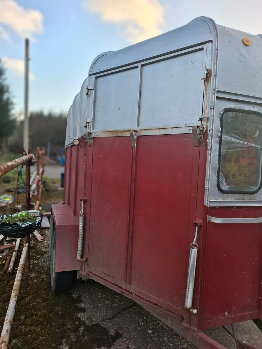 Horse box for sale - Image 4