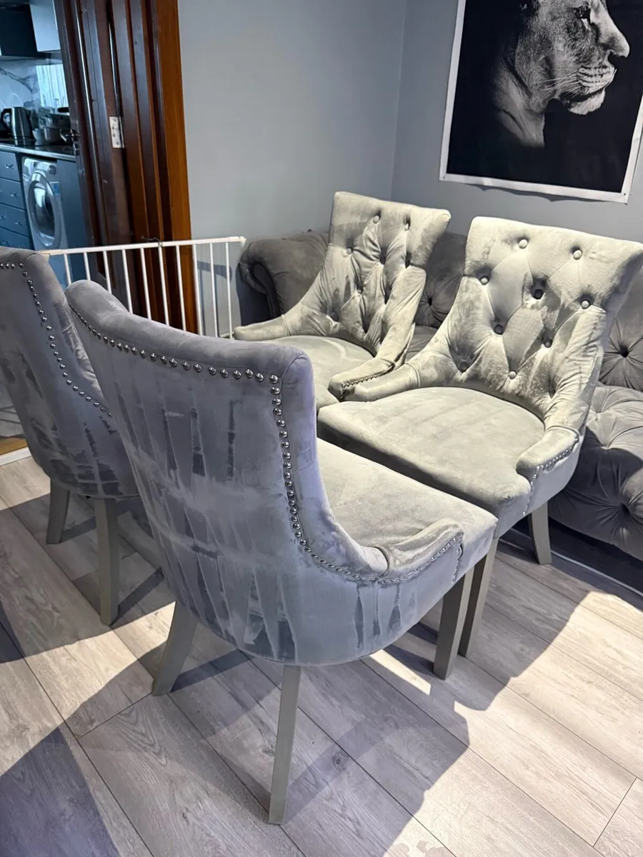 4 grey velvet chairs - Image 1
