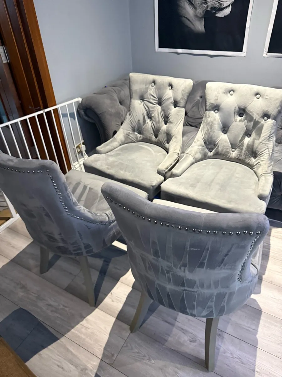 4 grey velvet chairs - Image 4