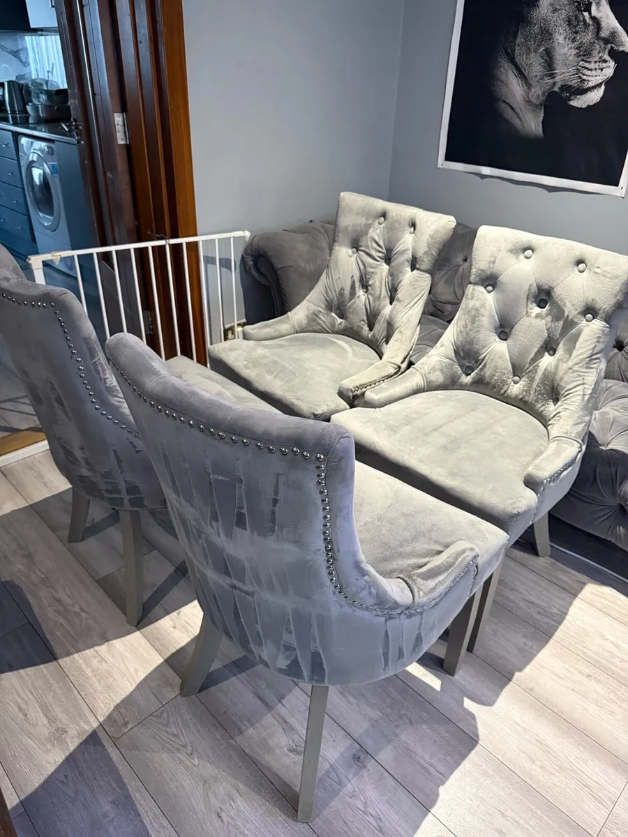 4 grey velvet chairs - Image 2