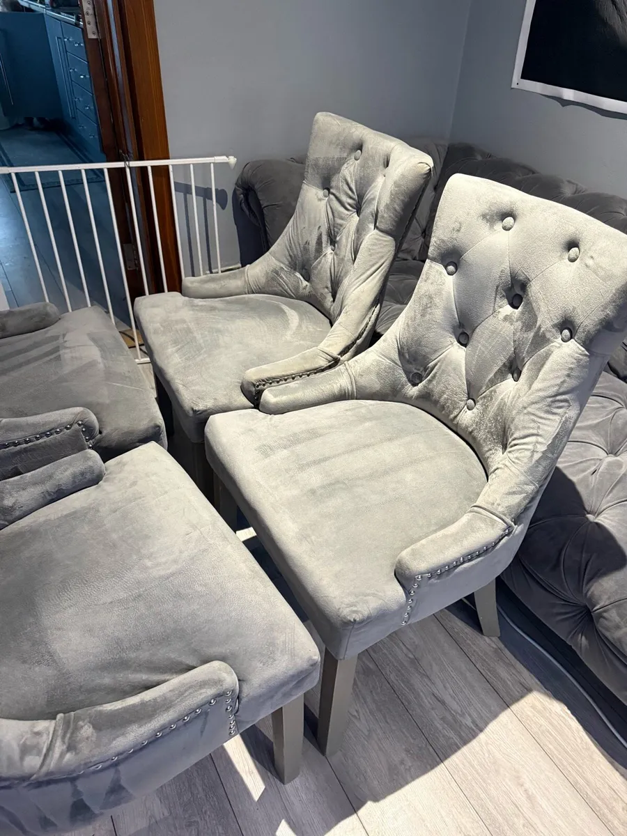 4 grey velvet chairs - Image 3