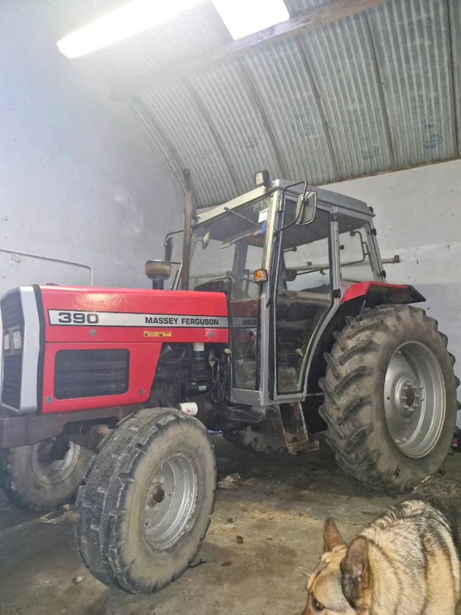 Massey 390 - Image 1