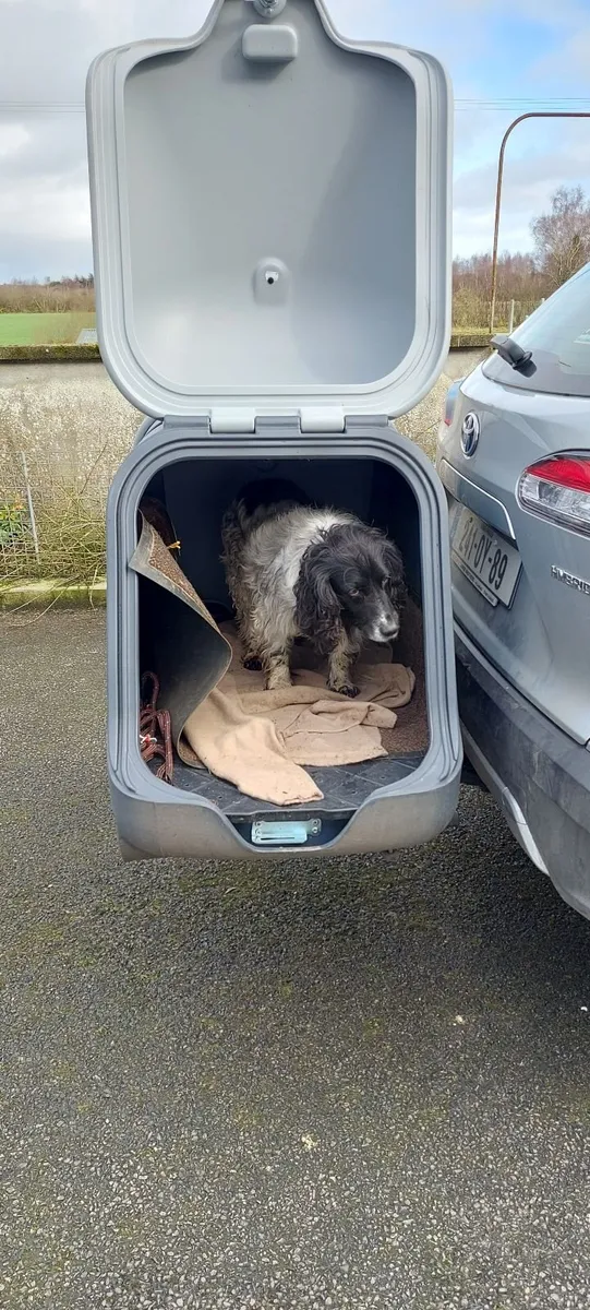 Dog box for car hitch - Image 1