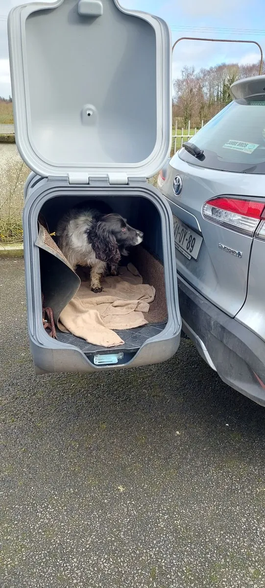 Dog box for car hitch - Image 2