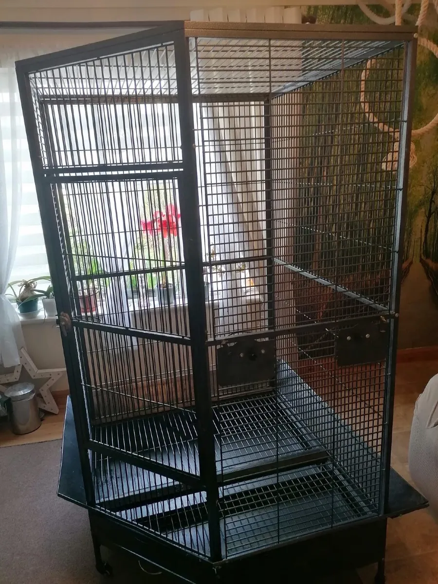 Corner bird cage - large and spacious - Image 2