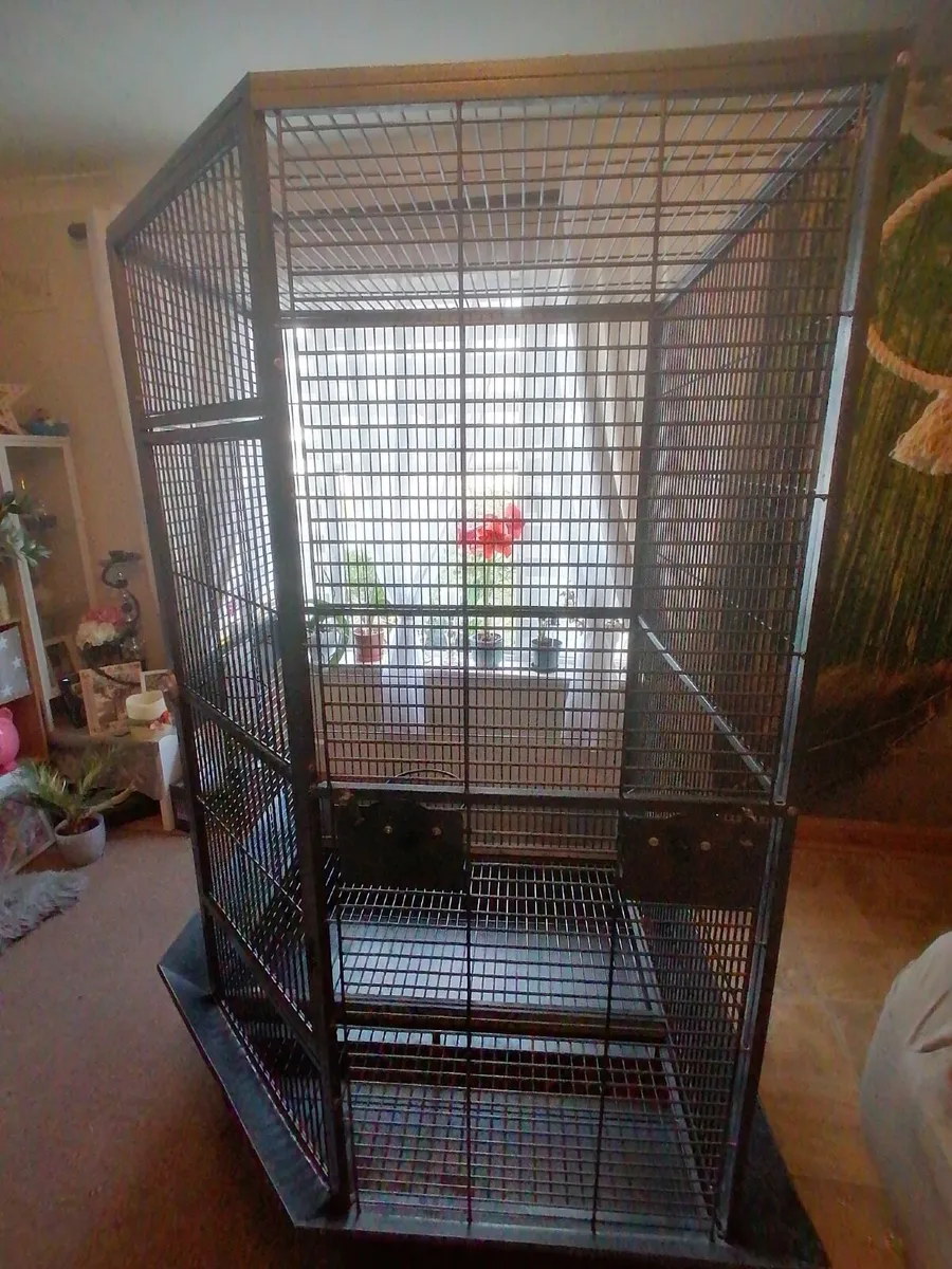Corner bird cage - large and spacious - Image 3