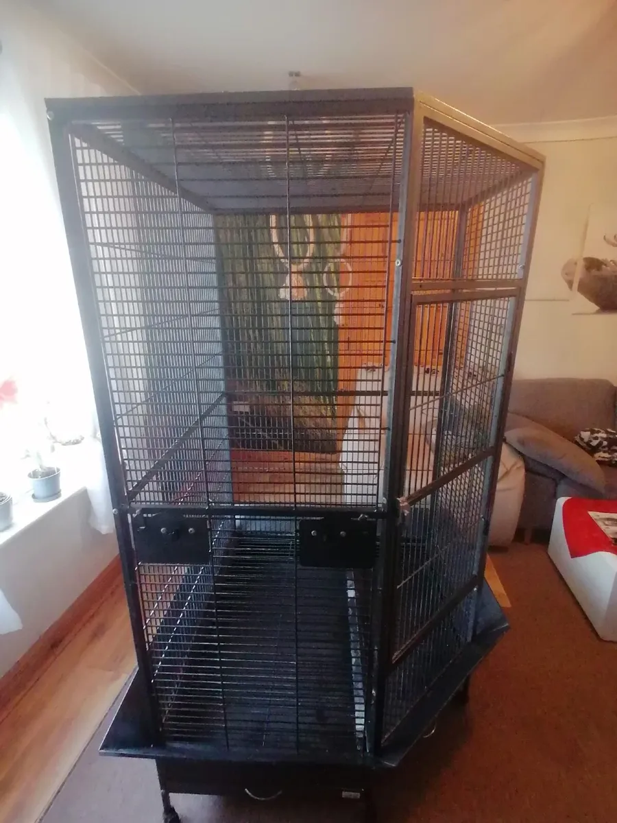 Corner bird cage - large and spacious - Image 1