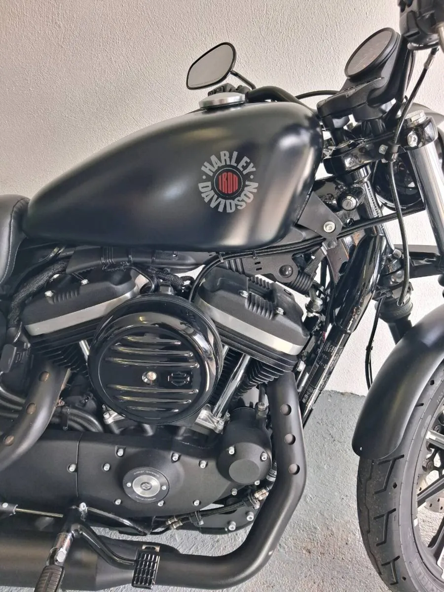2019 Harley Davidson 883 Iron - Image 2