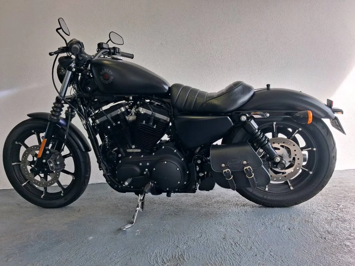 2019 Harley Davidson 883 Iron - Image 3