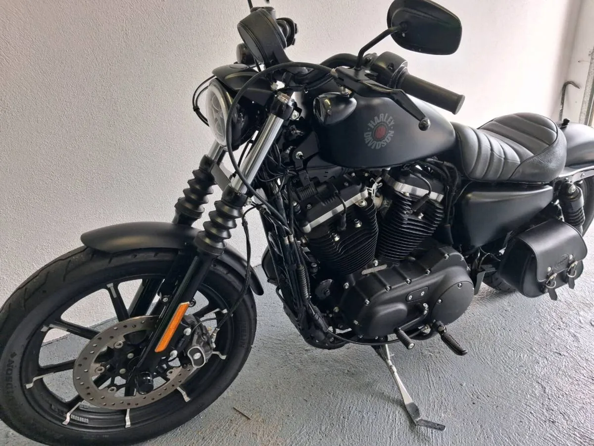 2019 Harley Davidson 883 Iron - Image 4