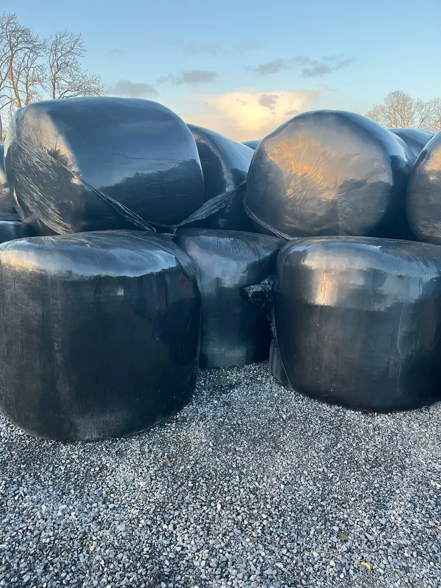 Bales of silage - Image 2