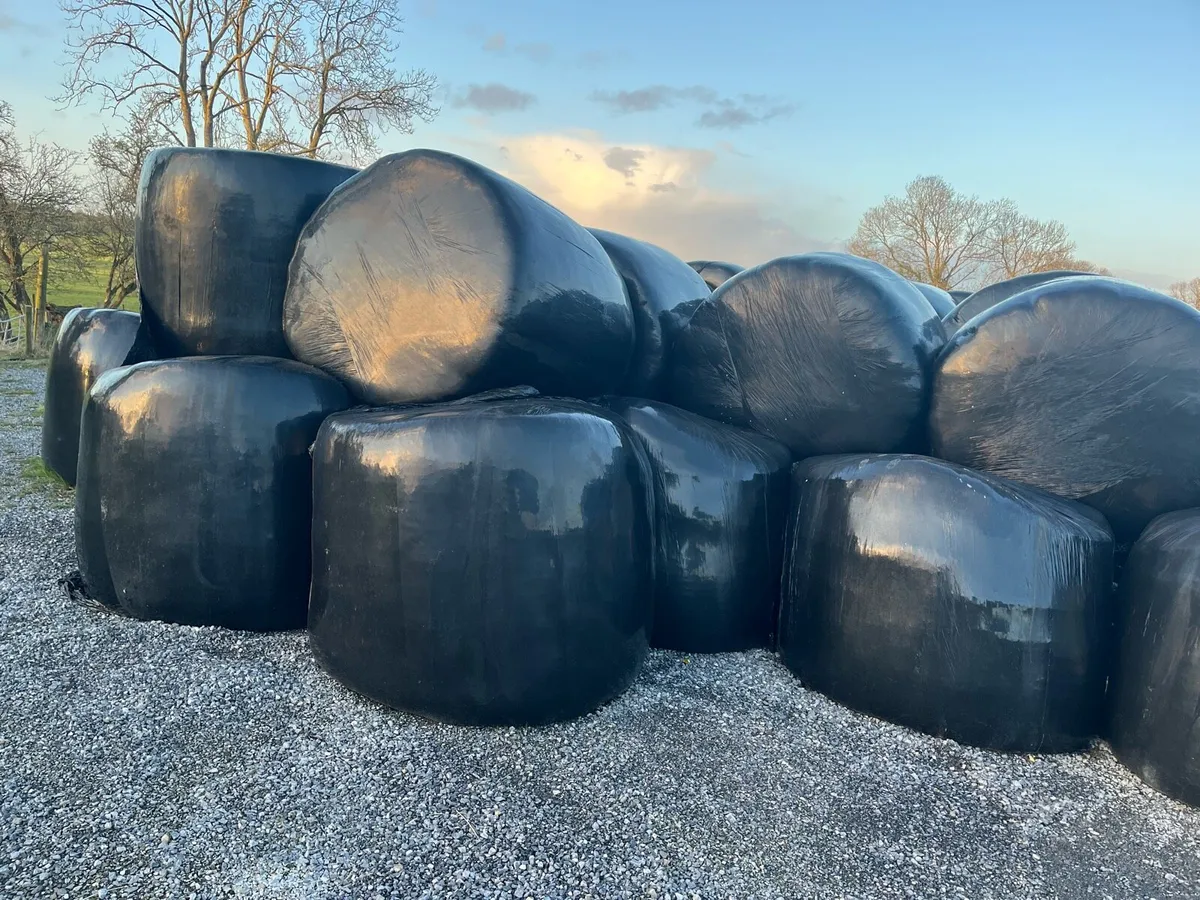 Bales of silage - Image 3