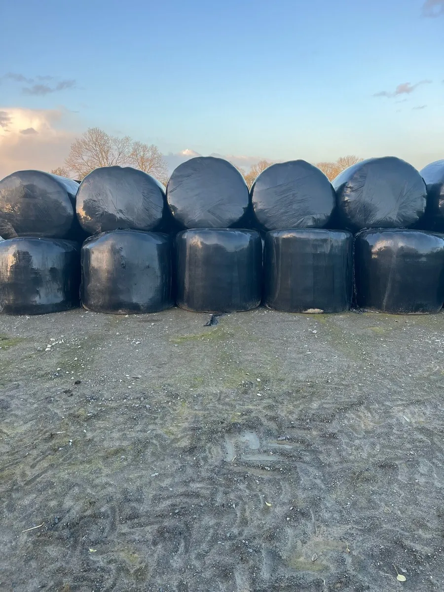 Bales of silage - Image 1