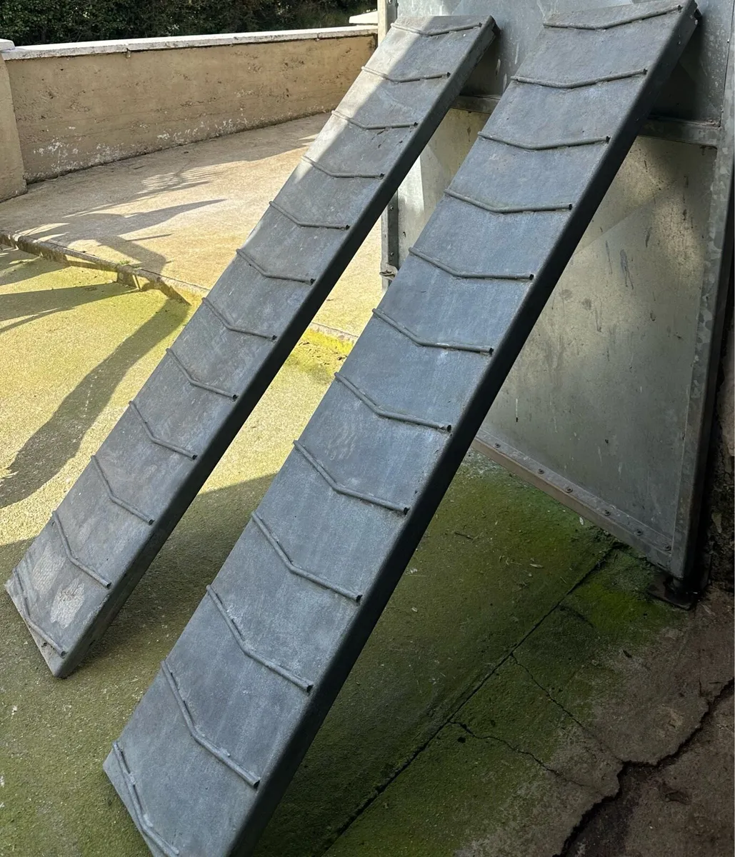 Loading ramps - Image 1