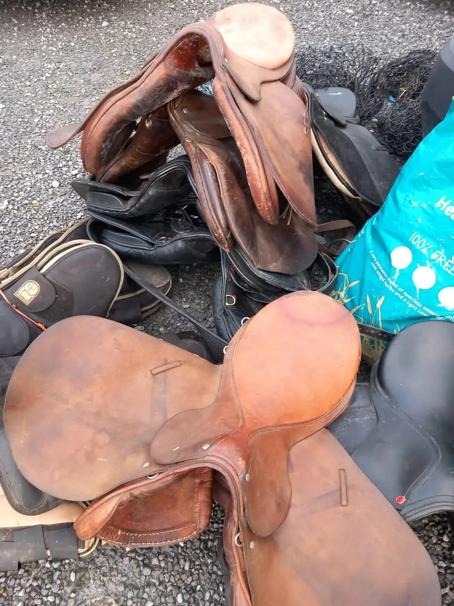 Christy's Market open on Sunday - Image 4