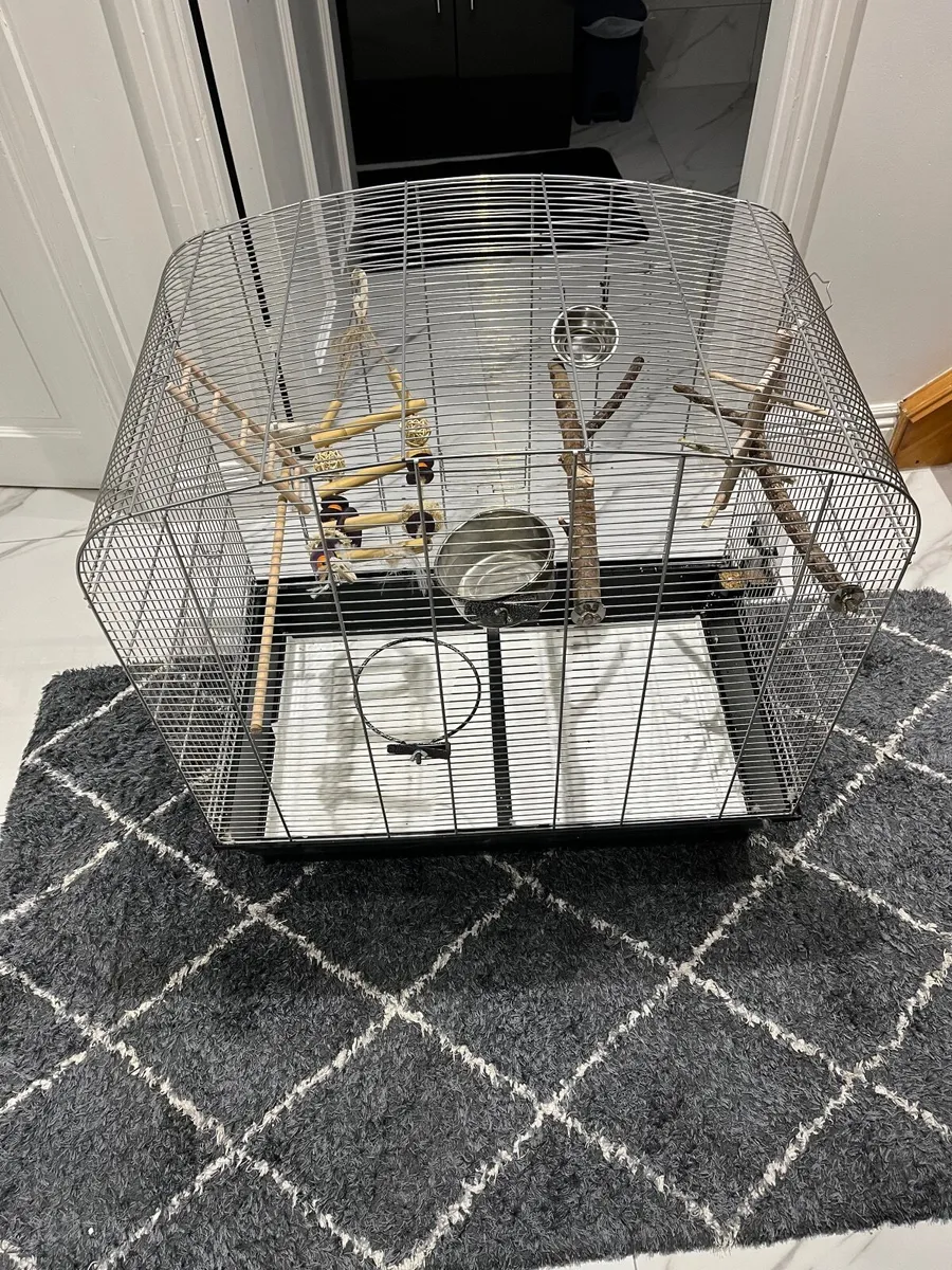 Large bird cage, full set with accessories. - Image 2
